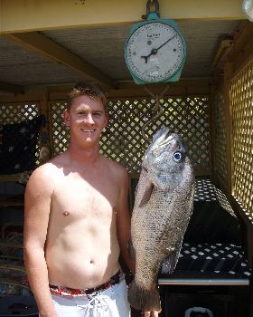 Ashleys dhufish