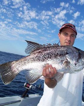 leeman dhufish
