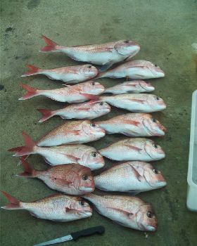 all in 30 mins