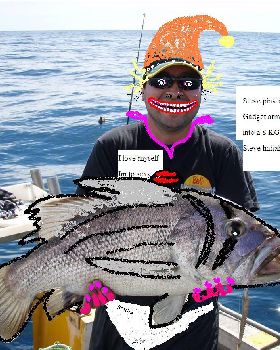 Stevies Dhuie