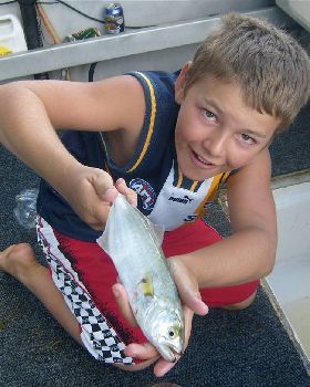a nice serpentine river chopper