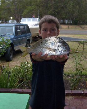 a 40cm bream from the Mary street lagoon!