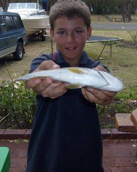 a 40cm bream from the Mary street lagoon!