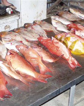 a few days good fishing