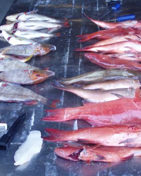a few days good fishing