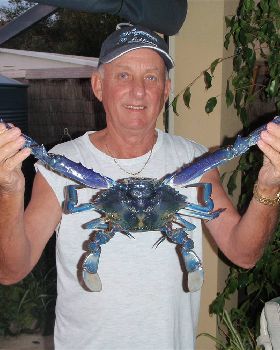BIG BLUEY!