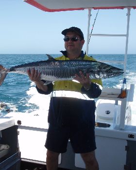 Exmouth Mackerel