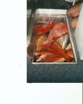 mix bag in kill tank