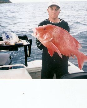 nice red