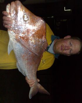 9.1KG SNAPPER