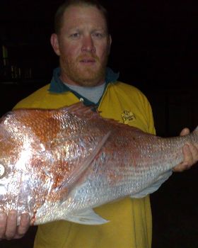 9.1KG SNAPPER