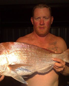 5.5kg snapper