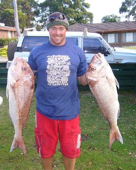SOME NICE PINKS FROM THE TINNY IN ALBANY