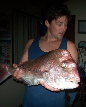 snapper