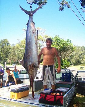 Marlin me up