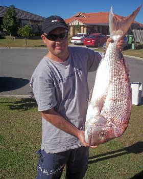 Snapper 3.5kg