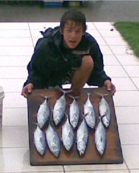 BLUE MARLIN BAITS :)