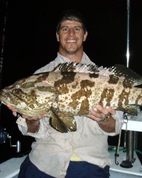 Mixed Bag