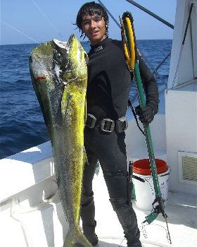 Spearfished this big boy (23-25KG) Mahi Mahi