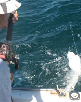 08-09-7 Exmouth Fishing 077