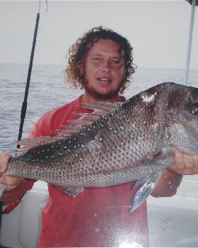 great snapper chriso