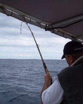 Not a bad Cobia.
