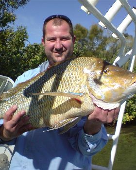Spangled Emperor - caught on a floating pillie...