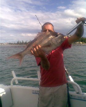 6kg snapper    4m  depth