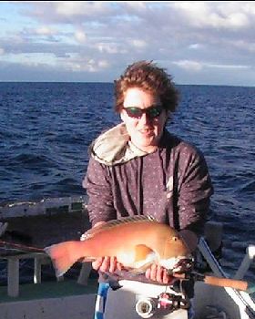 Abrolhos Islands "09" trip. all caught on 6lb gear