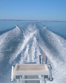 Leaveing the rat race behind