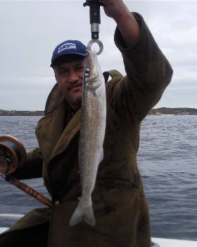 here is my bait