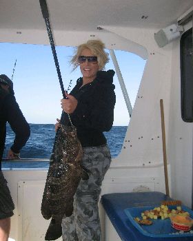 Shelli's cod
