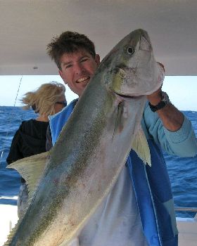 Kingie 1.2 21Kg