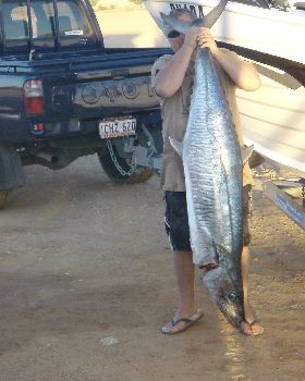 34kg mackie