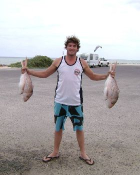 Snapper