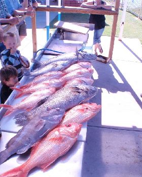 thats right there are no more fish in the ocean cause we are greedy bastards!
