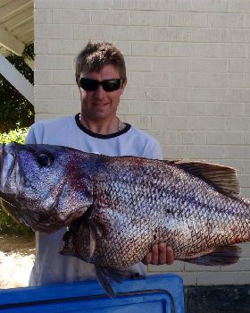 suck on this dhufish you dickhead Tony