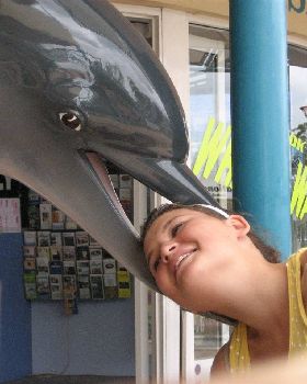 Killer Dolphin
