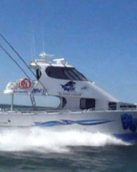 Big Cat hits the water