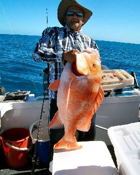 red emperor 13.65kilos