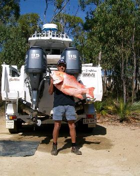 red emperor 13.65kilos