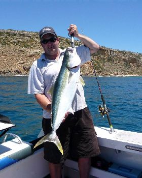 9kg kingy
