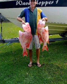 11KG & 8KG Reds