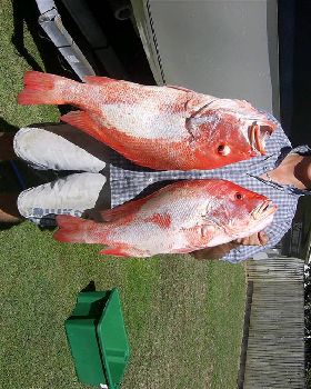 Fishing