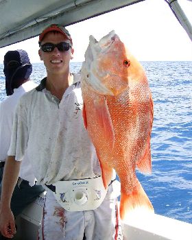 9KG Reddy