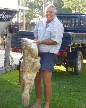 18KG Gold Spot Cod