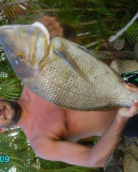 8.3kg