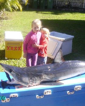 bribie