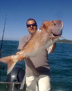 DI Snapper