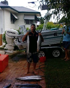 another day at palm beach reef